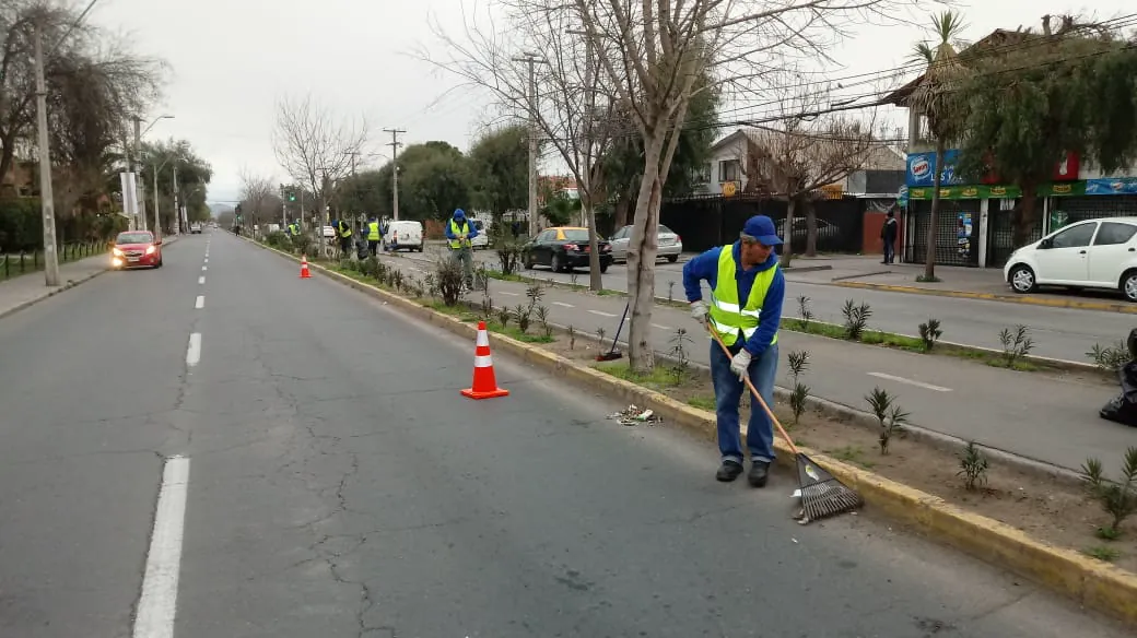 Cuadrilla de EDT en mantención y limpieza del bandejón ajardinado de una avenida
