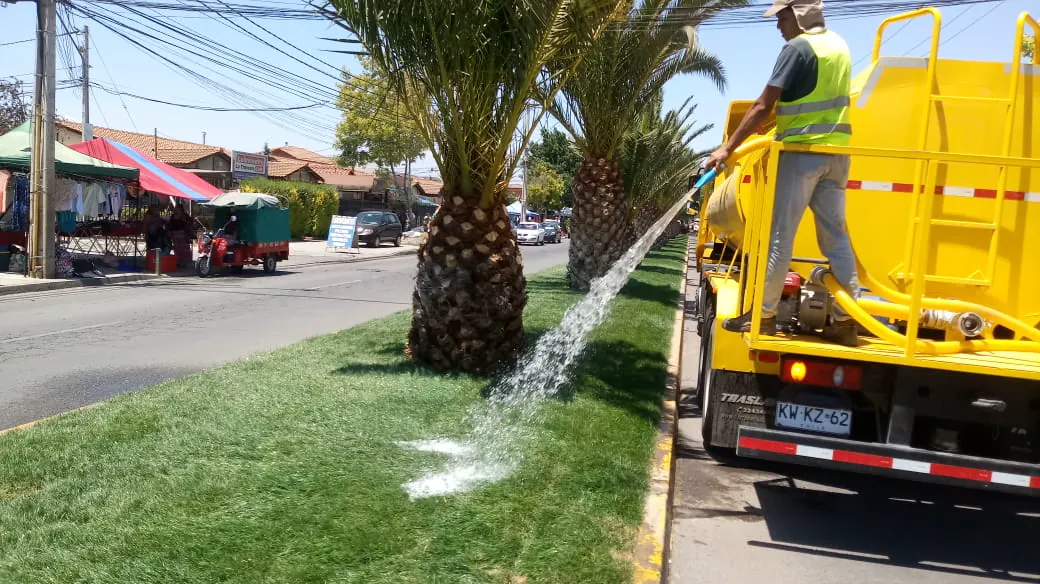Camión aljibe de EDT regando el césped de un bandejón con palmeras en una avenida